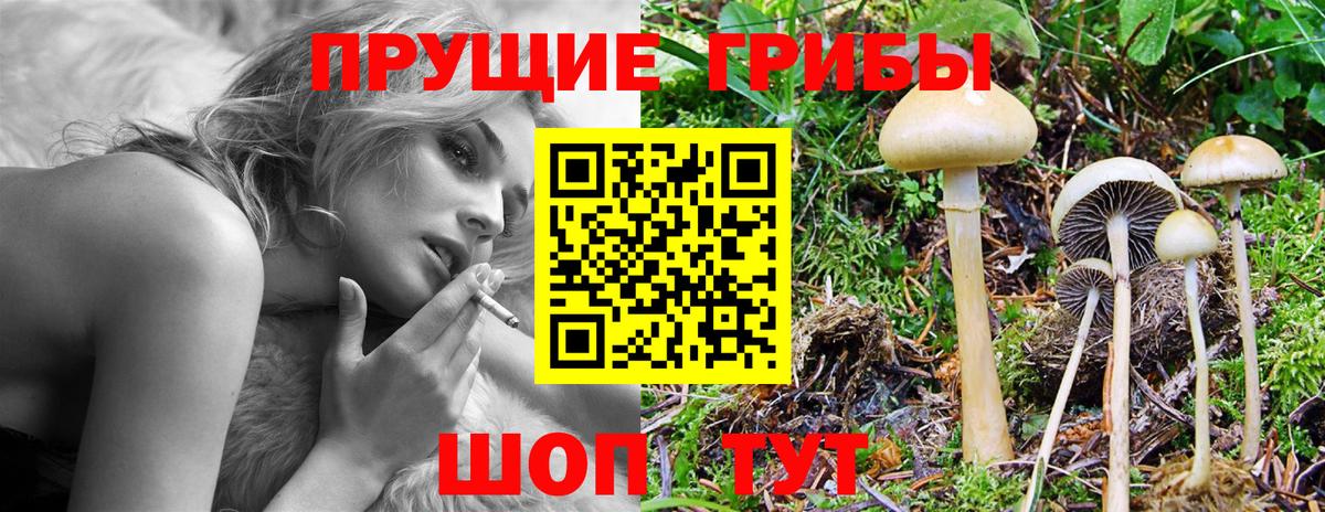 Псилоцибиновые грибы MAGIC MUSHROOMS  Вход с VPN  Сергиев Посад 